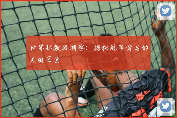 世界杯数据洞察：揭秘冠军背后的关键因素