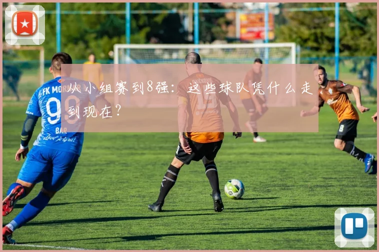 从小组赛到8强：这些球队凭什么走到现在？