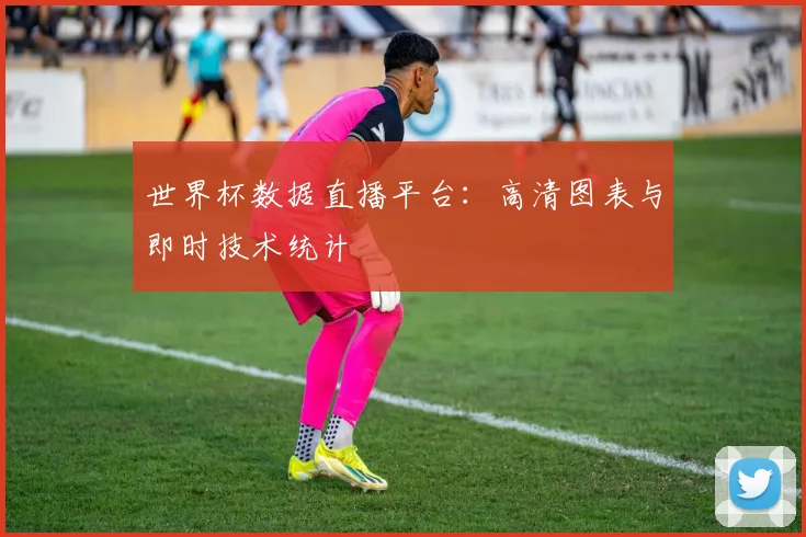 世界杯数据直播平台:高清图表与即时技术统计
