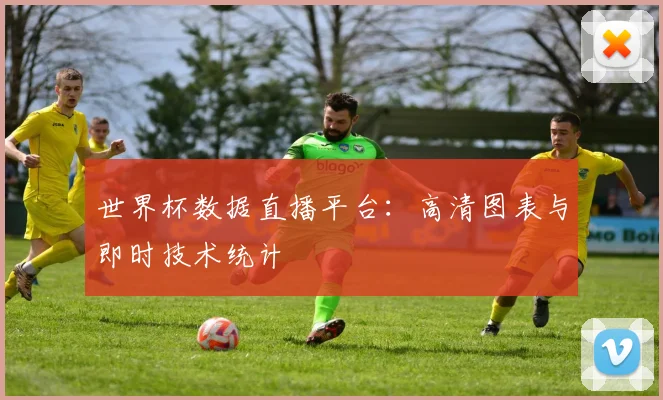 世界杯数据直播平台:高清图表与即时技术统计