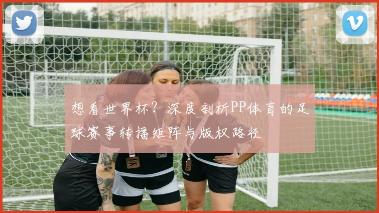 想看世界杯?深度剖析PP体育的足球赛事转播矩阵与版权路径