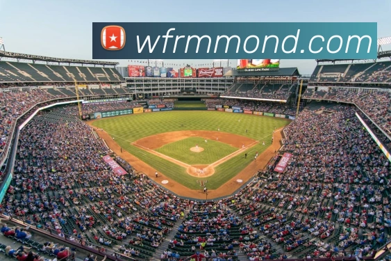 leyu乐鱼在线官网平台生态图