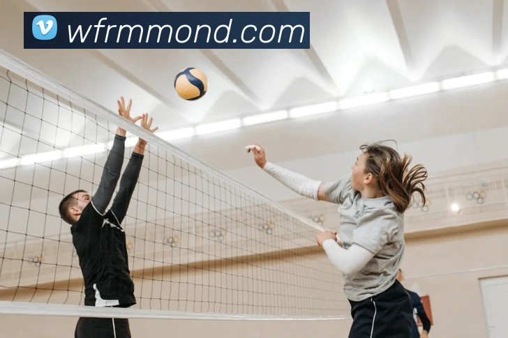 leyu乐鱼在线官网全站App leyu乐鱼在线官网全站App